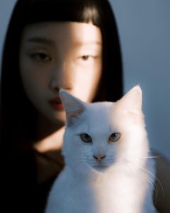 张嘉辉摄影作品