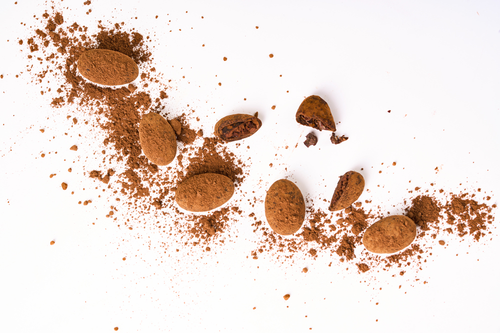 超级巧克力-巧克力玩家